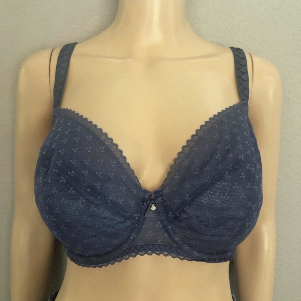 Chantelle Courcelles Full Coverage Bra Soft Cup Unlined Sheer 36DDD